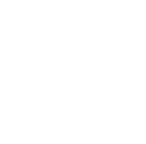 Logo de Youth For Climate en blanc